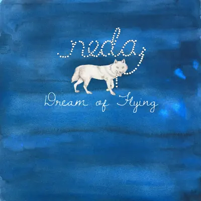 Dream of Flying - Single - Neda