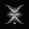 Skylight - BFVR lyrics