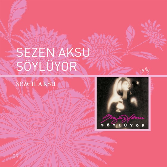 Cover artwork for Aynalar