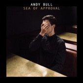 Andy Bull - Baby I Am Nobody Now