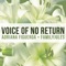 Voice of No Return (feat. FamilyJules) - Adriana Figueroa lyrics