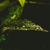 Long Way Back - Single