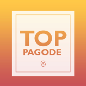 Top Pagode (Ao Vivo) - Various Artists