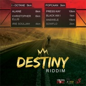 Destiny Riddim (Compilation) artwork