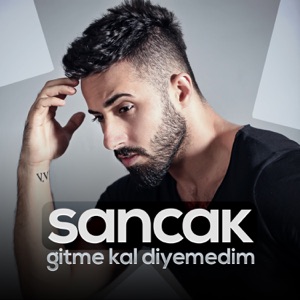 Gitme Kal Diyemedim - Single