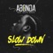 Slow Down (feat. GuiltyBeatz) - Abonda lyrics