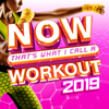 Various Artists - NOW That's What I Call A Workout 2019  artwork