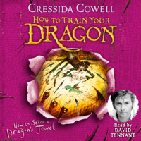 Cressida Cowell - How to Train Your Dragon: How to Seize a Dragon's Jewel artwork