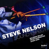 Steve Nelson - One Thin Dime