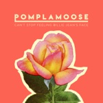 Pomplamoose - Can't Stop Feeling Billie Jean's Face