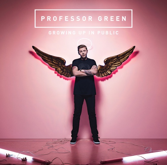 Cover artwork for In the Shadow of the Sun