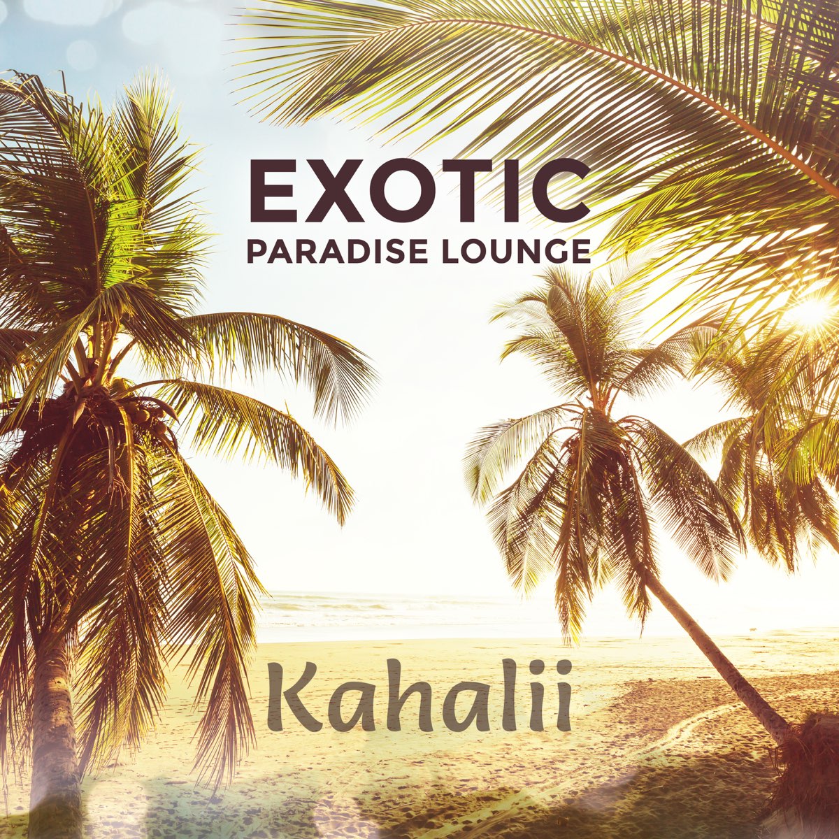 Paradise lounge. Exotic Paradise. Парадайз лаунж. Exotic Paradise Fiji.