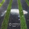 Vision (feat. Alison David) - Jambalaya 37 lyrics