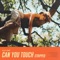Can You Touch - Elley Duhé lyrics