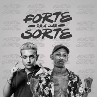 Forte pra Dar Sorte (feat. Mc Neguinho do ITR) by MC Digu song reviws