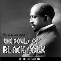 W. E. B. Du Bois - The Souls of Black Folk artwork