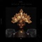 Black Panther (In Due Time) - Shaé Universe lyrics