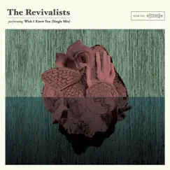 Wish I Knew You - Single by The Revivalists album reviews, ratings, credits