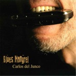 Carlos Del Junco - No Particular Place