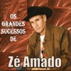 Os Grandes Sucessos de Zé Amado