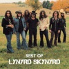 Lynyrd Skynyrd - What's Your Name