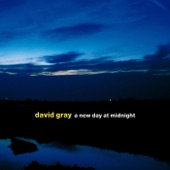 David Gray - Dead In The Water