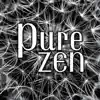 Pure Zen: Moment of Deep Contemplation for Calm Down and Open Soul album lyrics, reviews, download