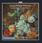 Telemann: Concerti da camera, Vol. 1 artwork