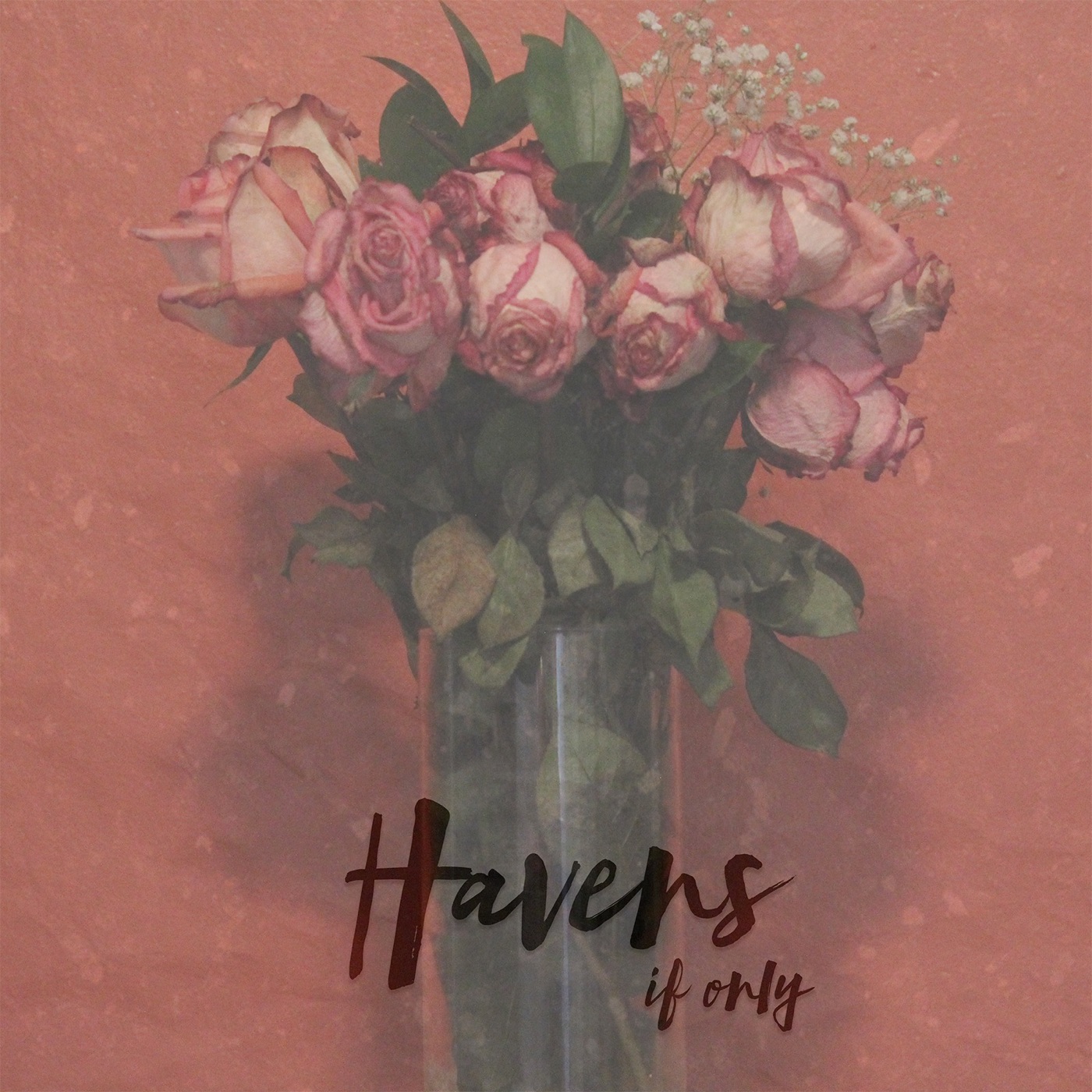 Havens - If Only [single] (2018)
