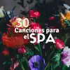 Stream & download 30 Canciones para el Spa: Sonidos de la Naturaleza, Lluvia, Sonidos del Mar, Música para Masajes