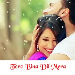 Tere Bina Dil Mera by Aziz Khan album reviews, ratings, credits
