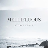 Mellifluous artwork