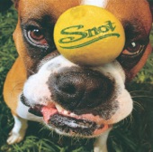 Snot artwork