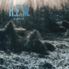 Radio Free Europe Cover Art