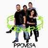 Promesa - Single