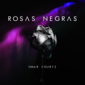 Rosas Negras artwork