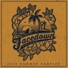 Facedown Records (2016 Summer Sampler), 2016