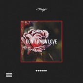 Don't Know Love artwork