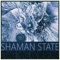 Metaform 2 - Shaman State lyrics