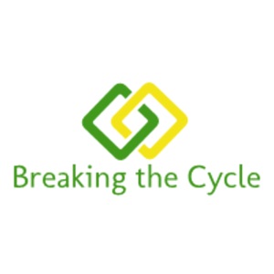 The Addiction Cycle