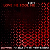 Love Me Fool Me (Vicent Ballester Remix) artwork