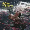 After The Storm (feat. Tyler, The Creator & Bootsy Collins) - Single album lyrics, reviews, download