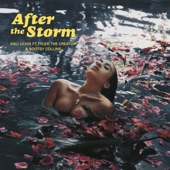 After The Storm (feat. Tyler, The Creator & Bootsy Collins) by Kali Uchis