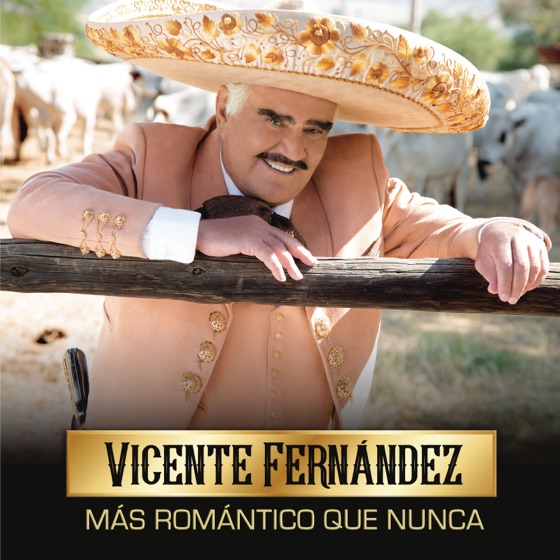 Cover artwork for Agua Salada