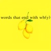 Words That End with Wh(y)