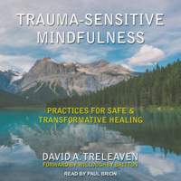 David A. Treleaven - Trauma-Sensitive Mindfulness: Practices for Safe and Transformative Healing artwork