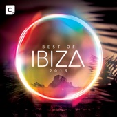 Best of Ibiza 2019 artwork