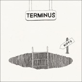 Terminus cover