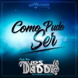 Chucho Ponce Los Daddys de Chinantla - Como Pudo Ser