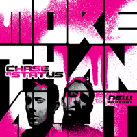 Chase & Status - More Than Alot (New Edition) artwork
